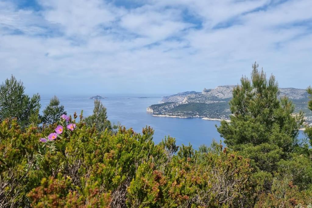 Rez De Port Miou Pres Calanques De Cassis *