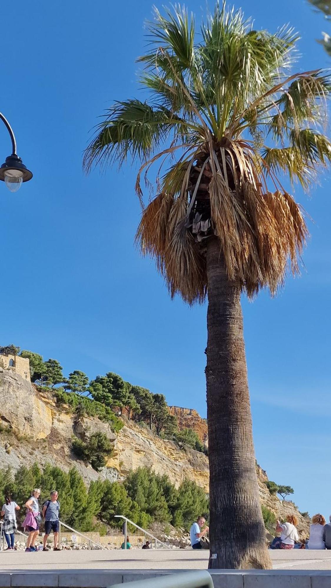 Rez De Port Miou Pres Calanques De Cassis Appartement Carnoux-en-Provence
